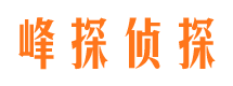 平陆侦探公司